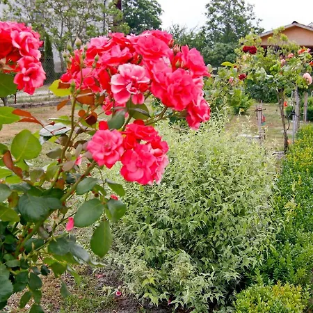Nocleg ze śniadaniem Pod Kasztanem Świnoujście