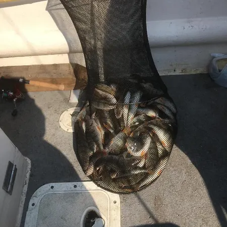 Nocleg ze śniadaniem Pod Kasztanem Świnoujście