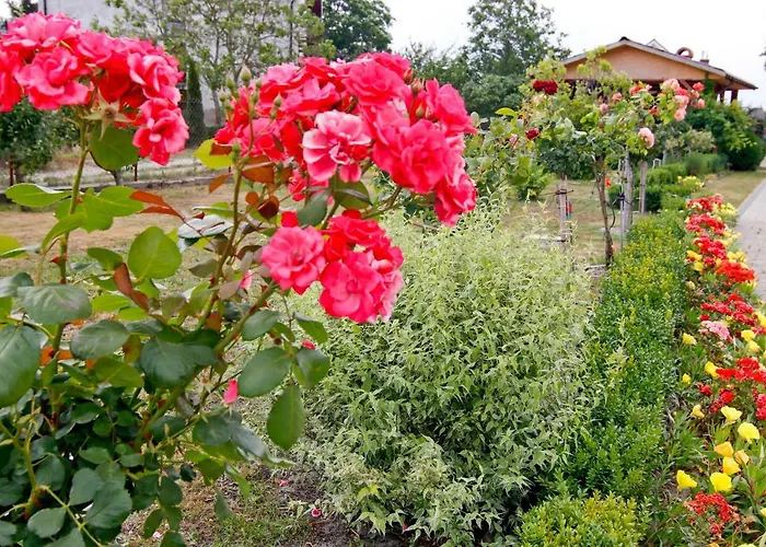 Frühstückspension Pod Kasztanem Swinemünde